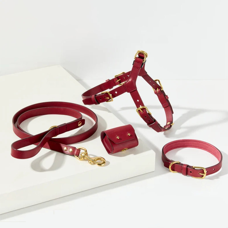 Lurieo Set Pettorina e Guinzaglio Bordeaux con Porta Sacchetti