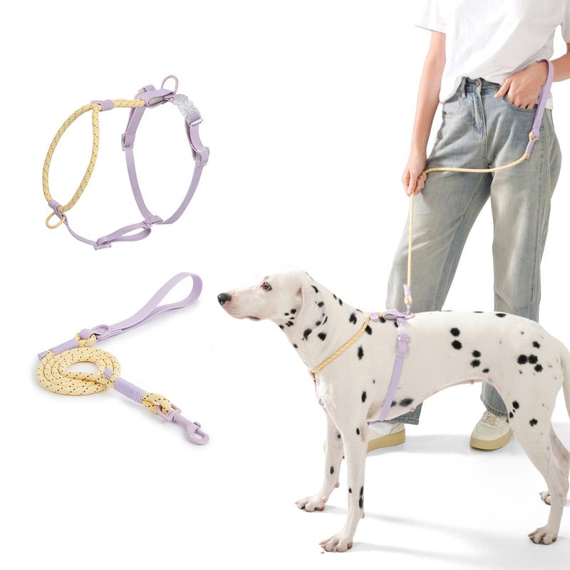 Set Pettorina e Guinzaglio Leggero per Cani – Comfort Quotidiano