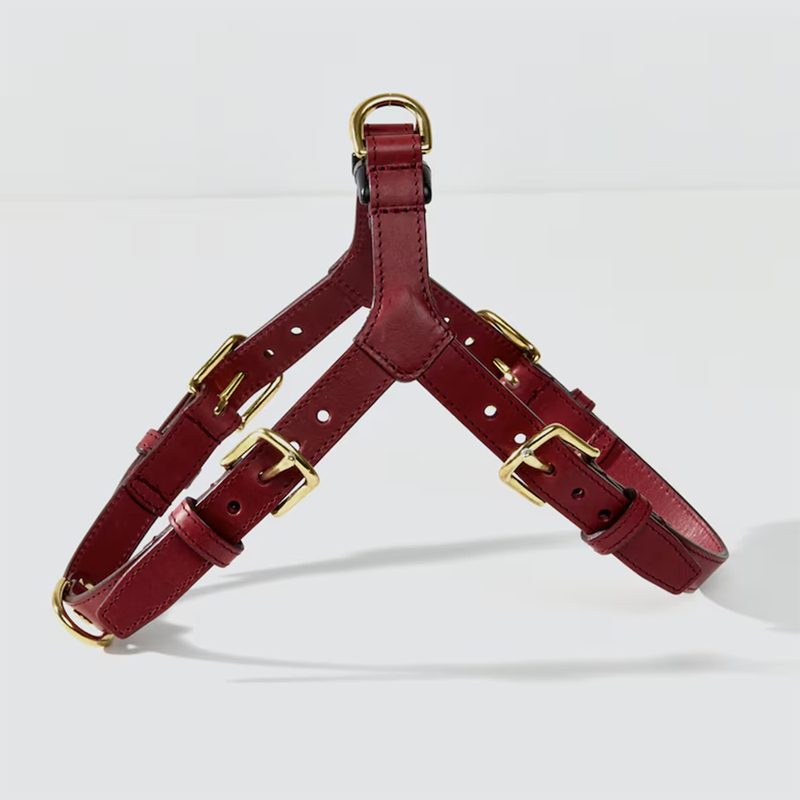 Lurieo Set Pettorina e Guinzaglio Bordeaux con Porta Sacchetti