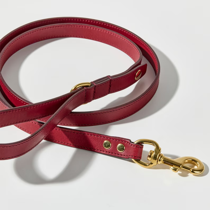 Lurieo Set Pettorina e Guinzaglio Bordeaux con Porta Sacchetti