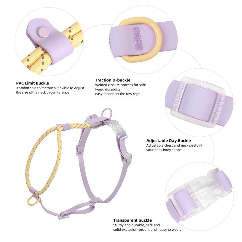Set Pettorina e Guinzaglio Leggero per Cani – Comfort Quotidiano