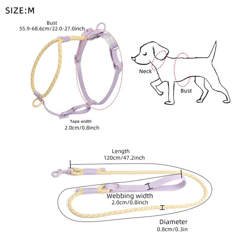 Set Pettorina e Guinzaglio Leggero per Cani – Comfort Quotidiano
