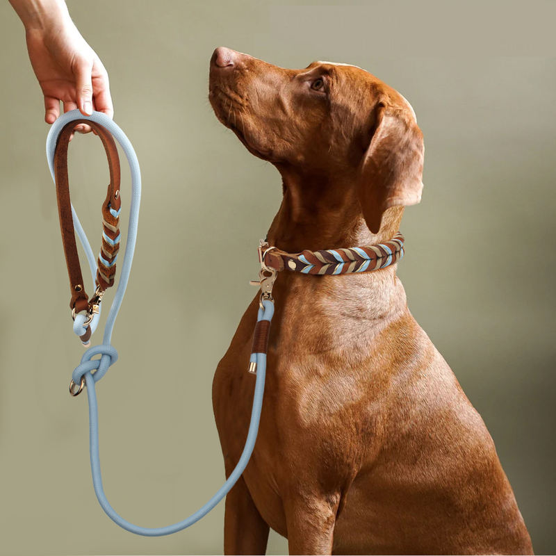 Set Collare e Guinzaglio per Cani in Pelle Intrecciata