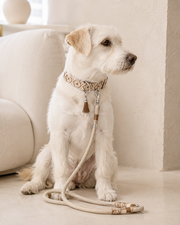 Set collare e guinzaglio intrecciato beige