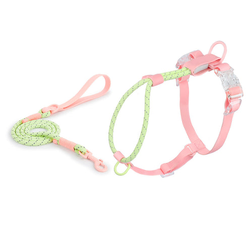 Set Pettorina e Guinzaglio Leggero per Cani – Comfort Quotidiano